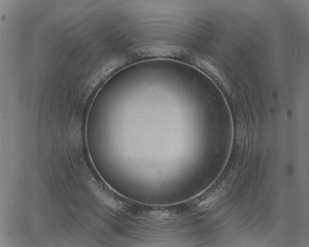 X0000062610394200512211142