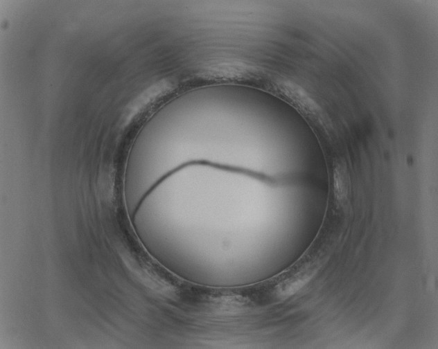 X0000062610396200512211142