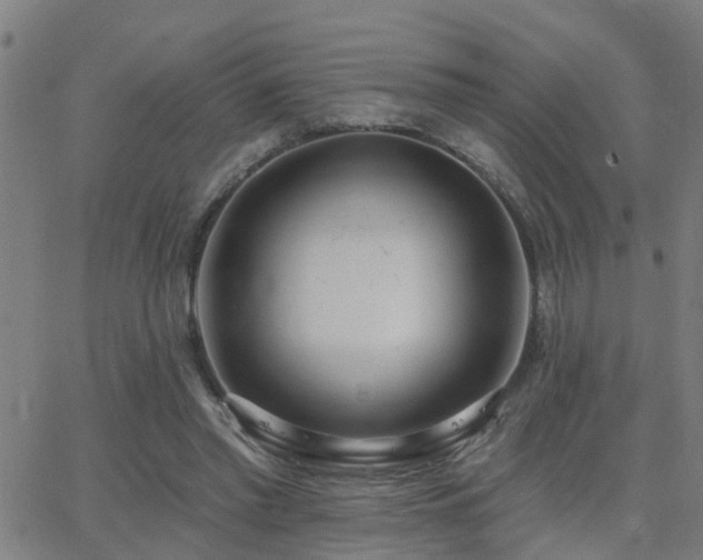 X0000062610397200512211142