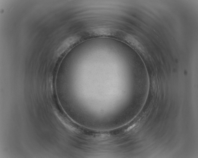 X0000062610398200512211142