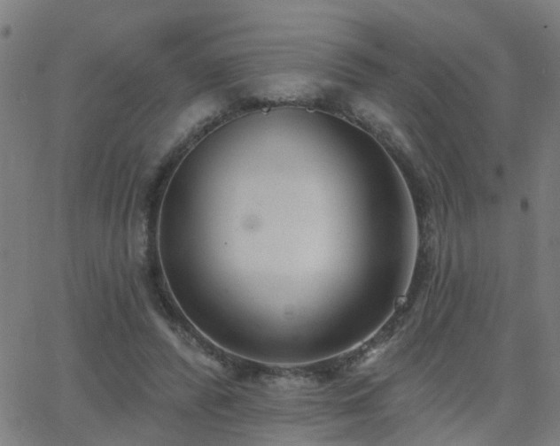 X0000062610400200512211142