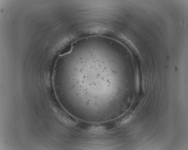 X0000062610403200512211142