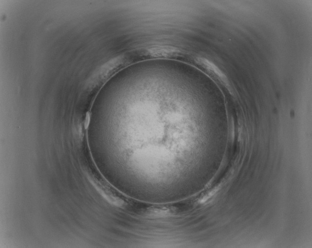 X0000062610405200512211142