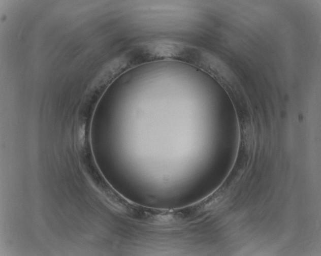 X0000062610406200512211142