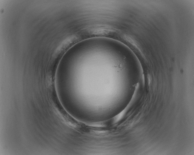 X0000062610407200512211142