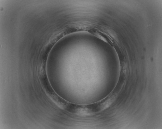 X0000062610408200512211142