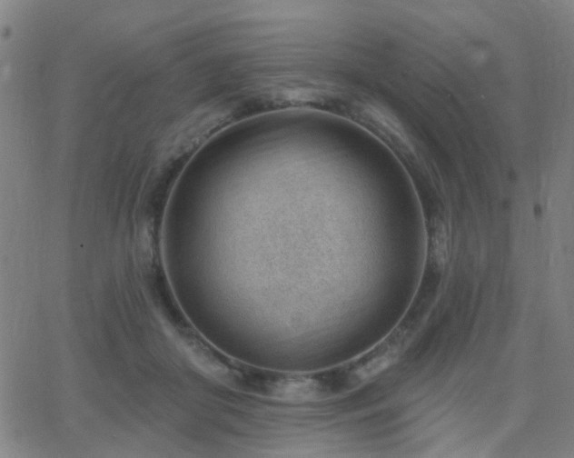 X0000062610410200512211142