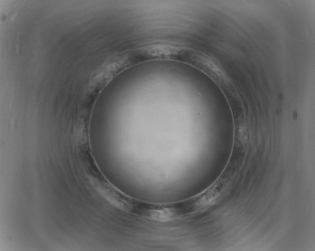 X0000062610411200512211142