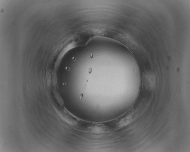 X0000062610412200512211142