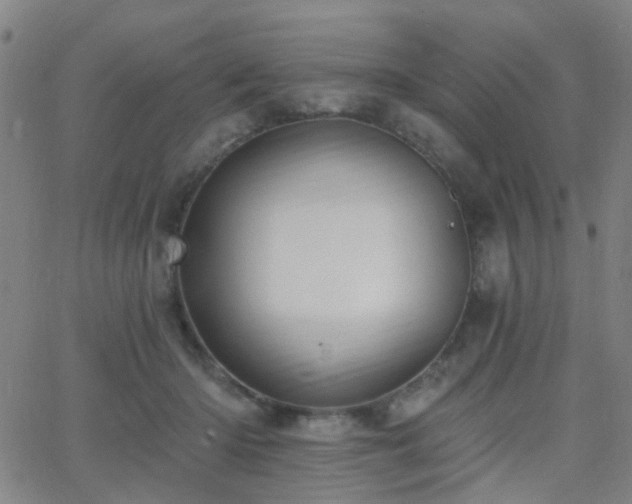 X0000062610414200512211142