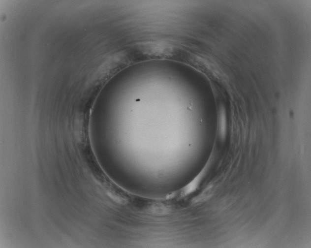 X0000062610416200512211142