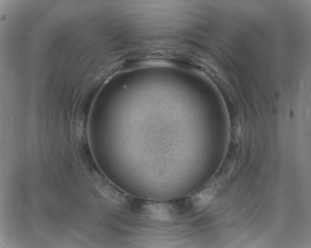 X0000062610417200512211142