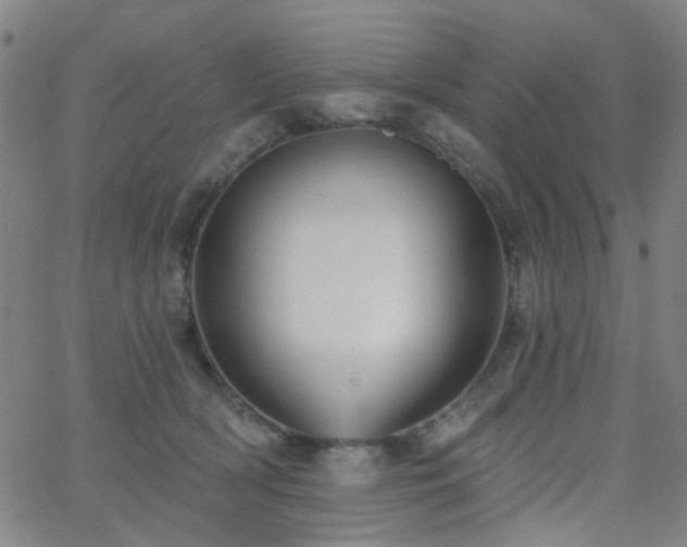 X0000062610418200512211142