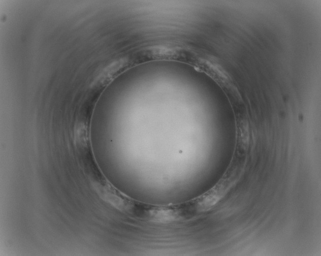 X0000062610419200512211142