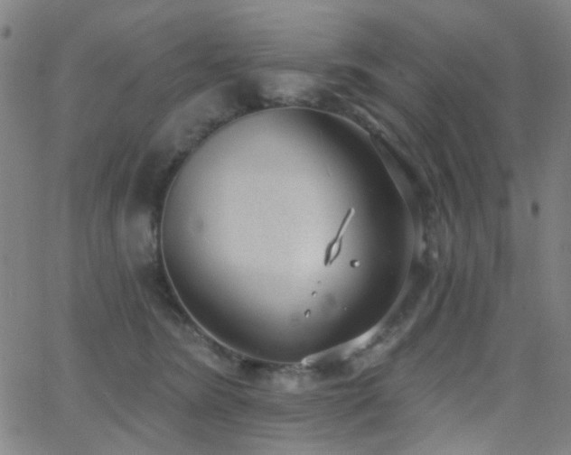 X0000062610420200512211142