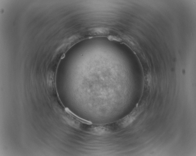 X0000062610423200512211142