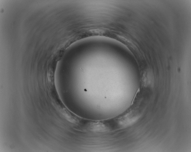 X0000062610424200512211142