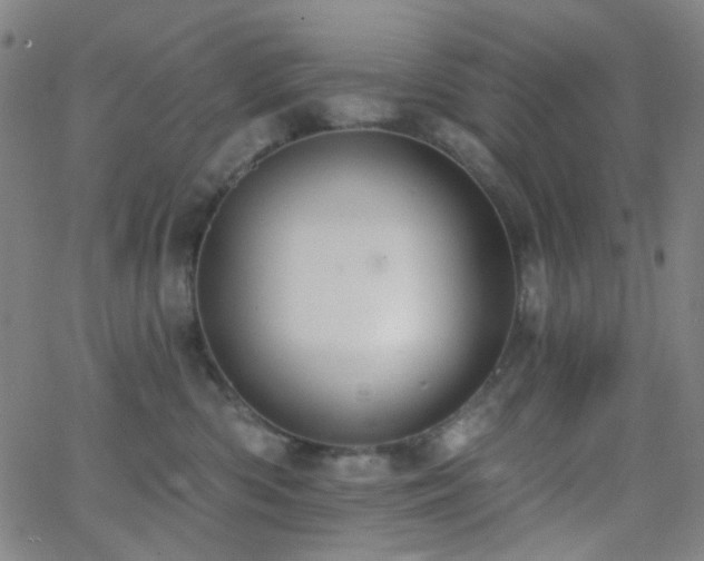 X0000062610426200512211142