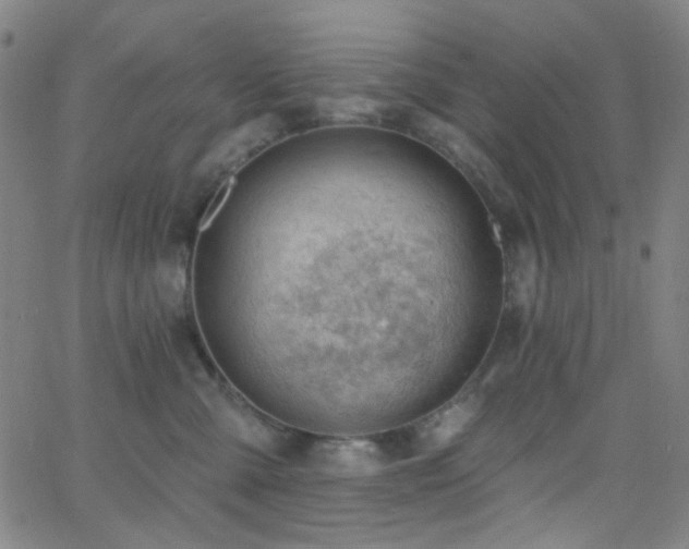 X0000062610427200512211142