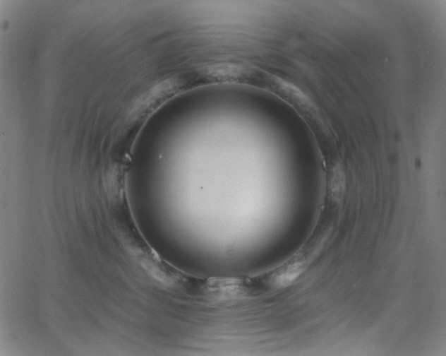 X0000062610428200512211142