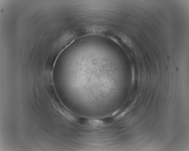 X0000062610429200512211142