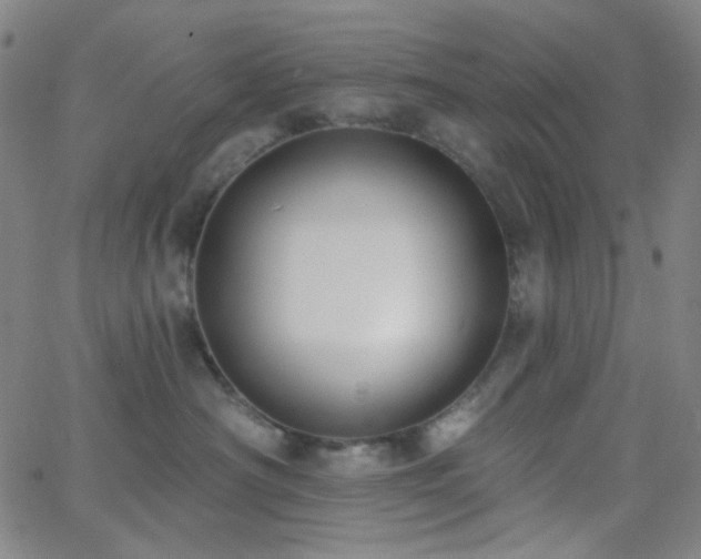 X0000062610430200512211141