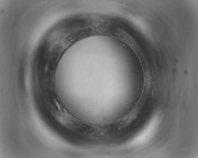 X0000062610431200512211141