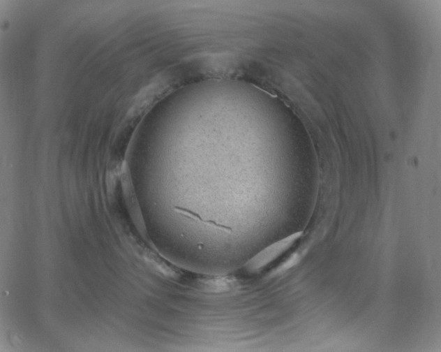 X0000062610432200512211141