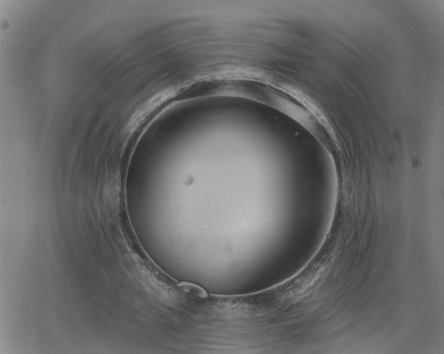 X0000062610437200512211141