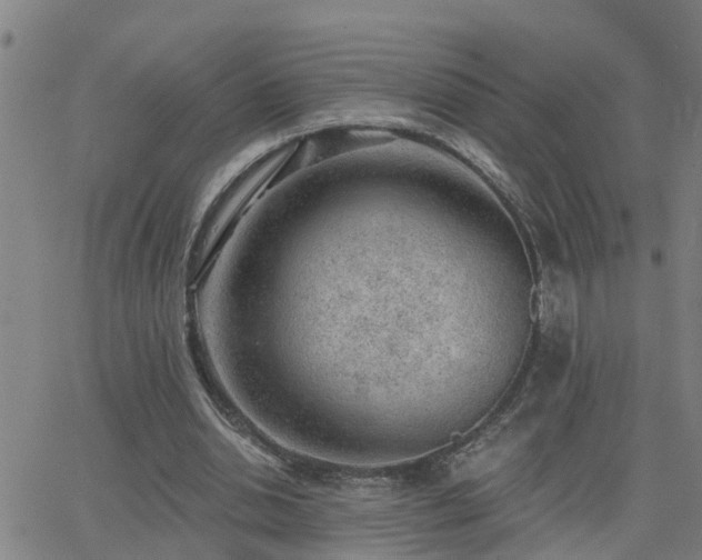 X0000062610438200512211141