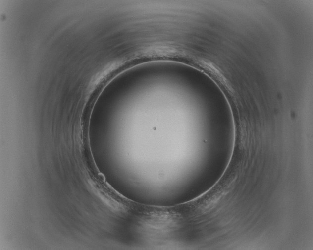 X0000062610439200512211141