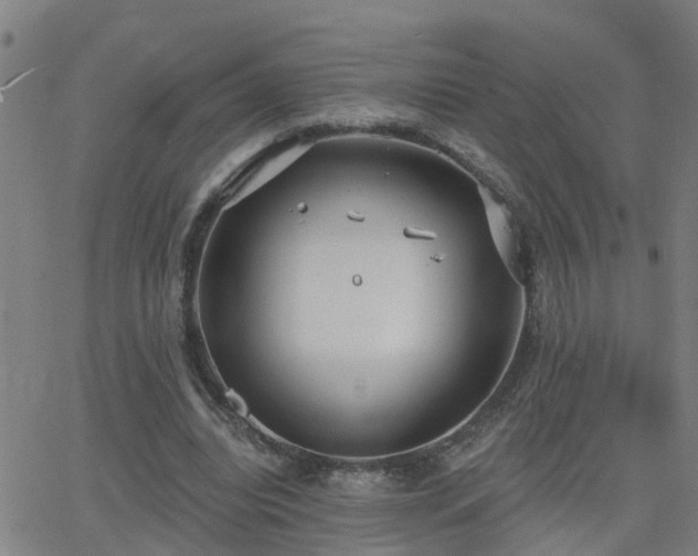 X0000062610440200512211141