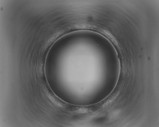 X0000062610441200512211141