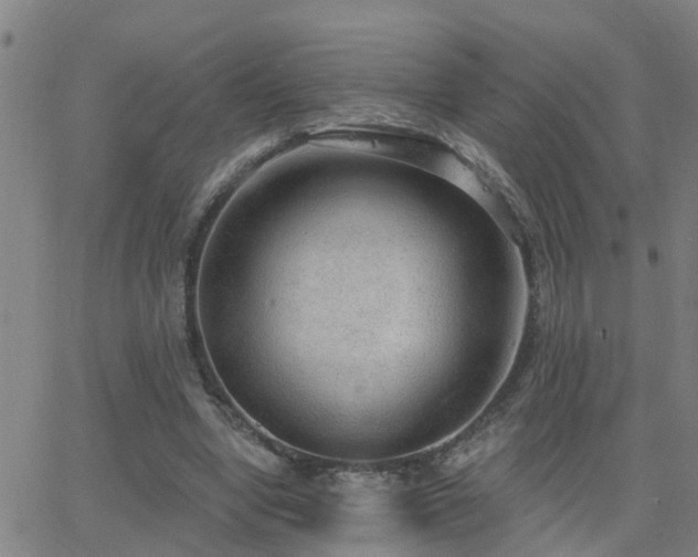 X0000062610442200512211141