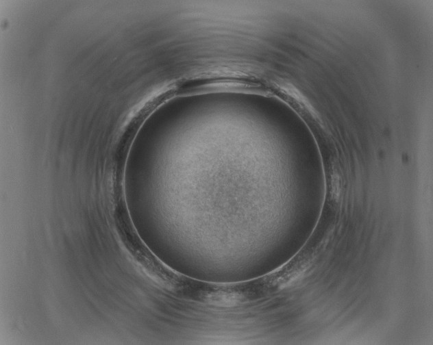 X0000062610444200512211141