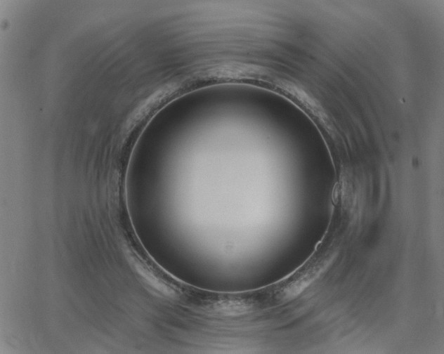 X0000062610445200512211141