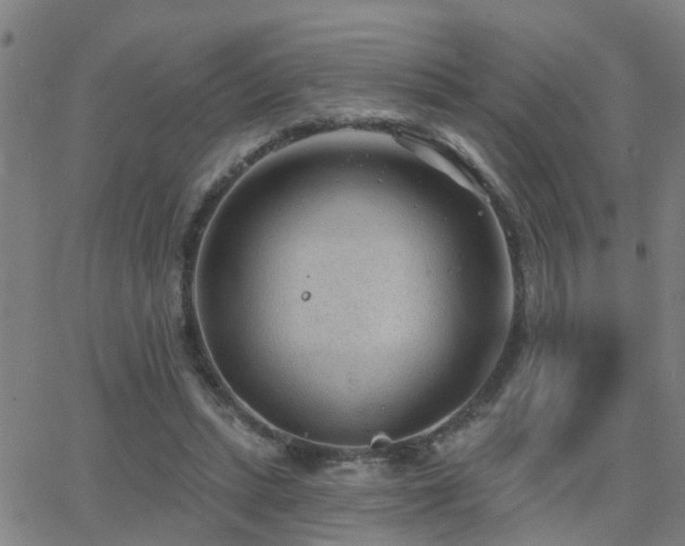 X0000062610447200512211141