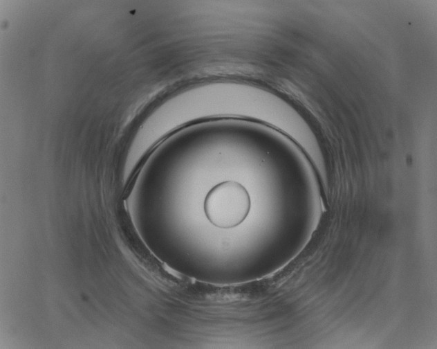 X0000062610448200512211141