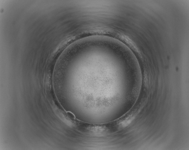 X0000062610449200512211141