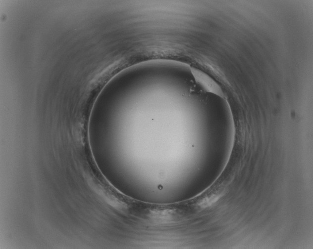 X0000062610450200512211141