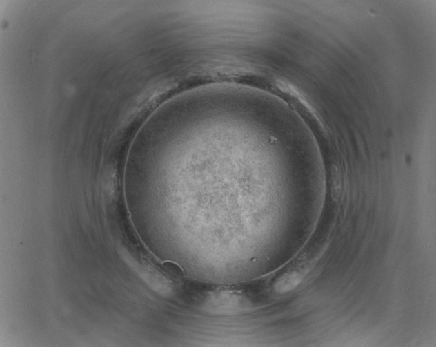 X0000062610451200512211141