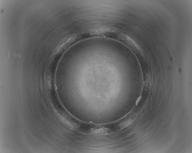 X0000062610452200512211141