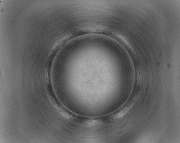 X0000062610453200512211141