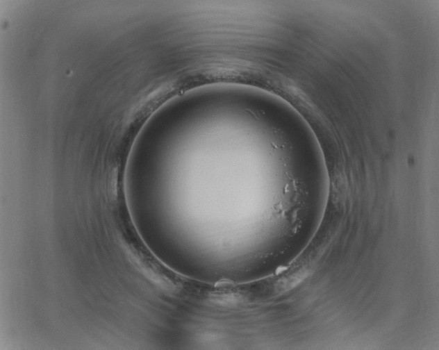 X0000062610454200512211141