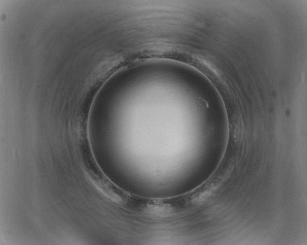 X0000062610455200512211141