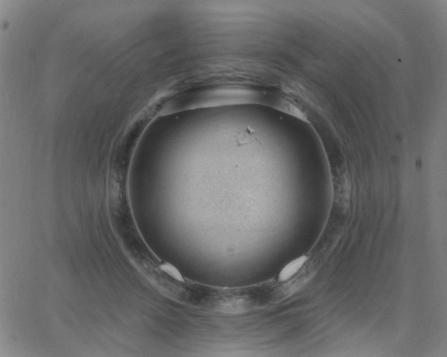 X0000062610456200512211141