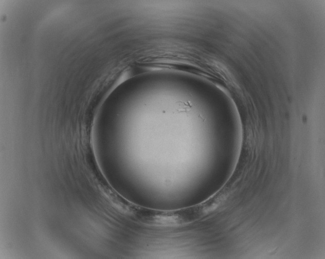 X0000062610457200512211141