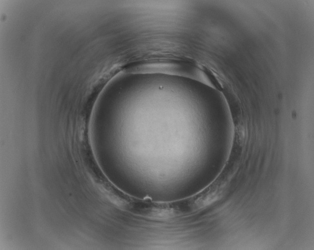 X0000062610458200512211141