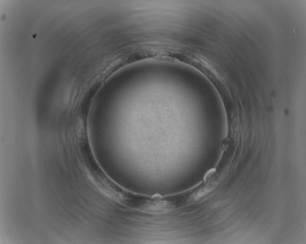 X0000062610459200512211141