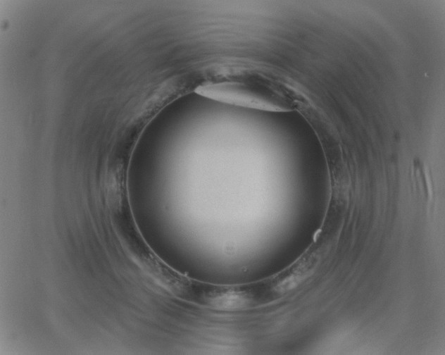 X0000062610460200512211141